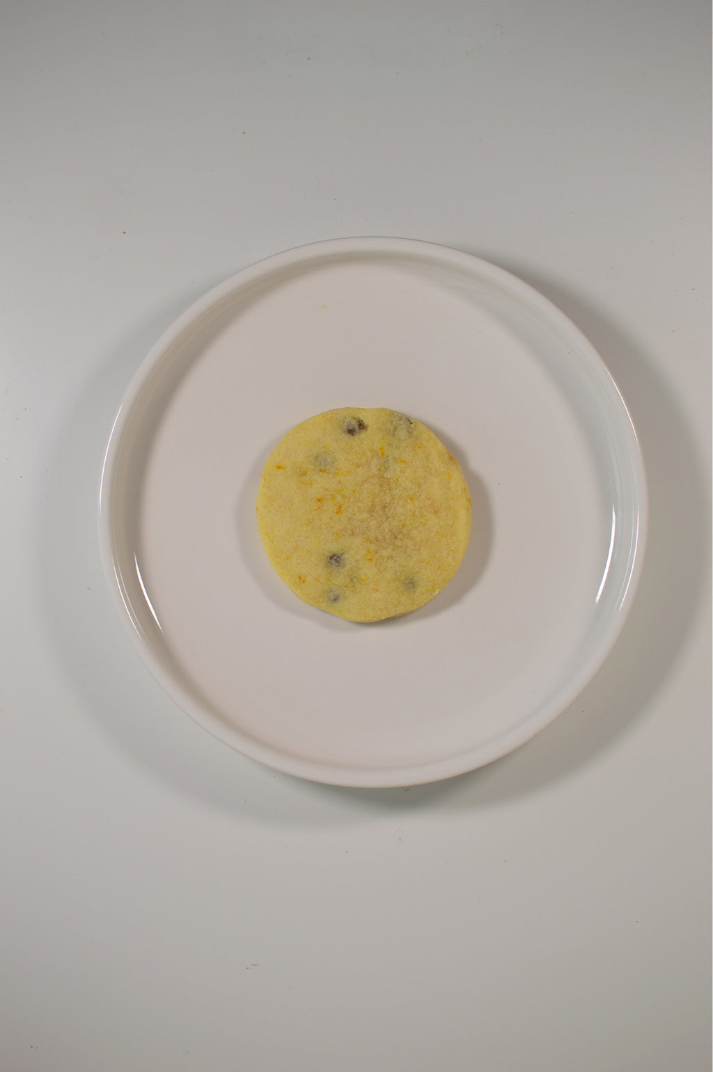Chocolade Oranje Shortbread Koekjes
