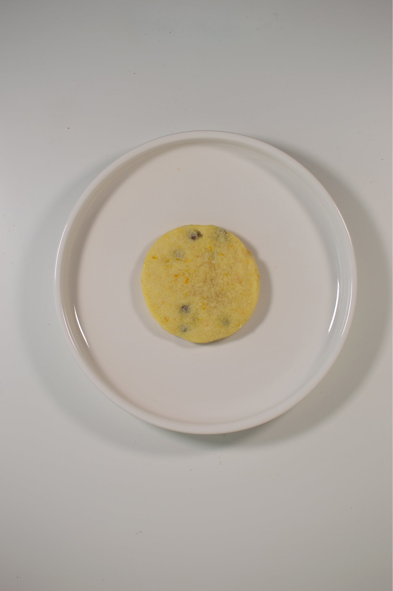 Chocolade Oranje Shortbread Koekjes