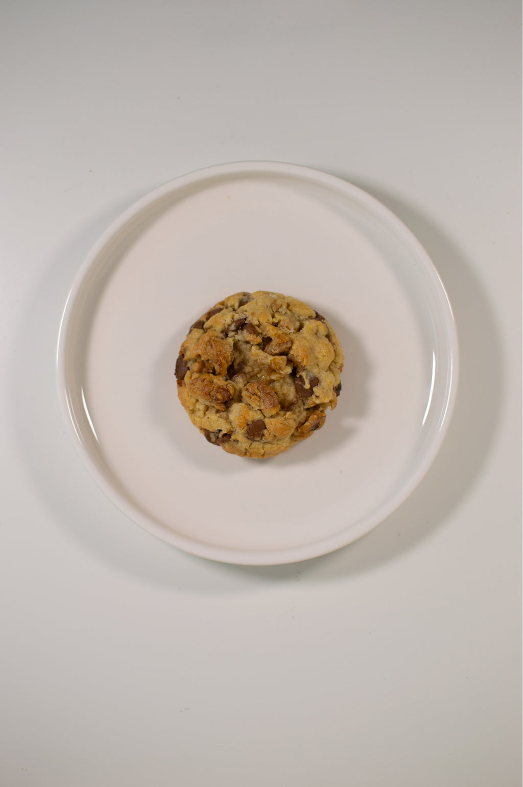 Chocoladechip Koekje